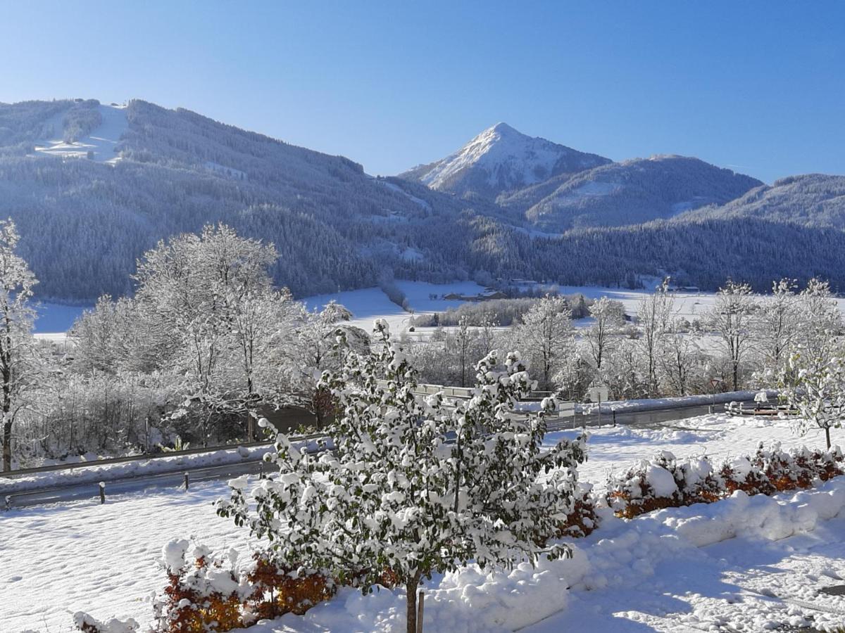 Filzerlehen Villa Radstadt Exteriör bild